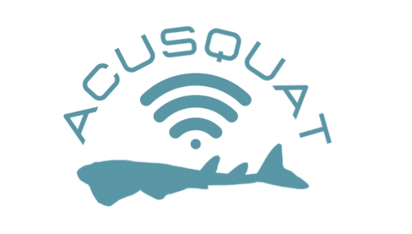ACUSQUAT II